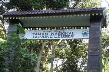 Jasa Penerjemah Resmi Tersumpah di Aceh Tenggara Semua Dokumen dan Bahasa